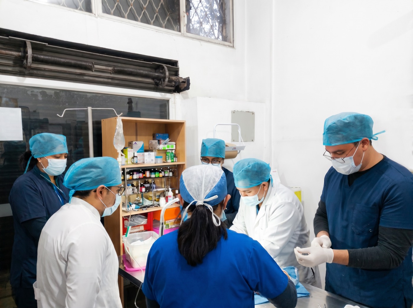 Equipo veterinario de ExpressVet realizando una cirugía en quirófano