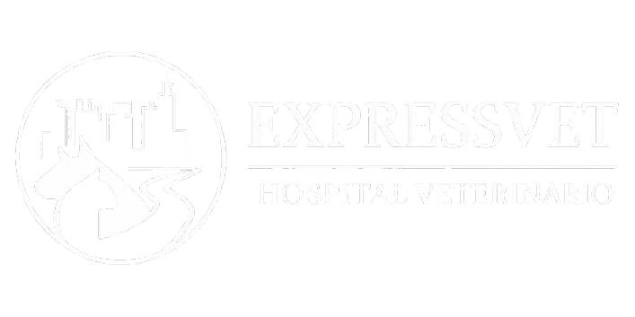 ExpressVet, Hospital Veterinario